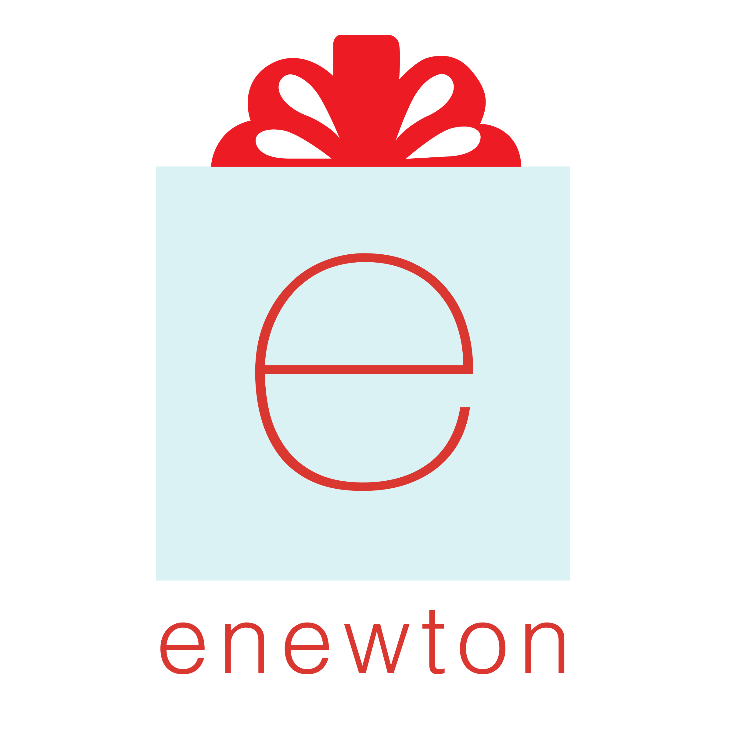 enewton design logo